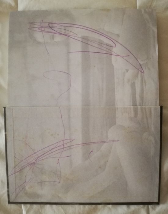 Book: Being the Same and Being Another64287580303617121