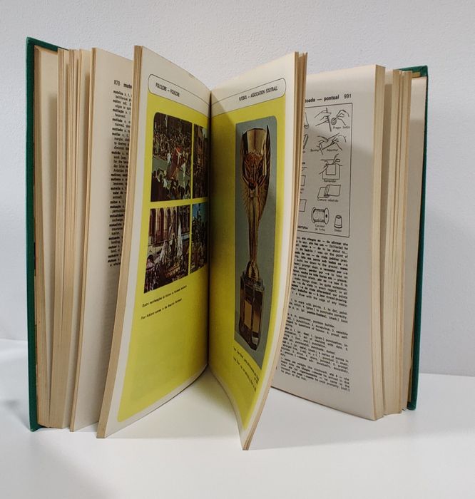 Dicionário Ilustrado