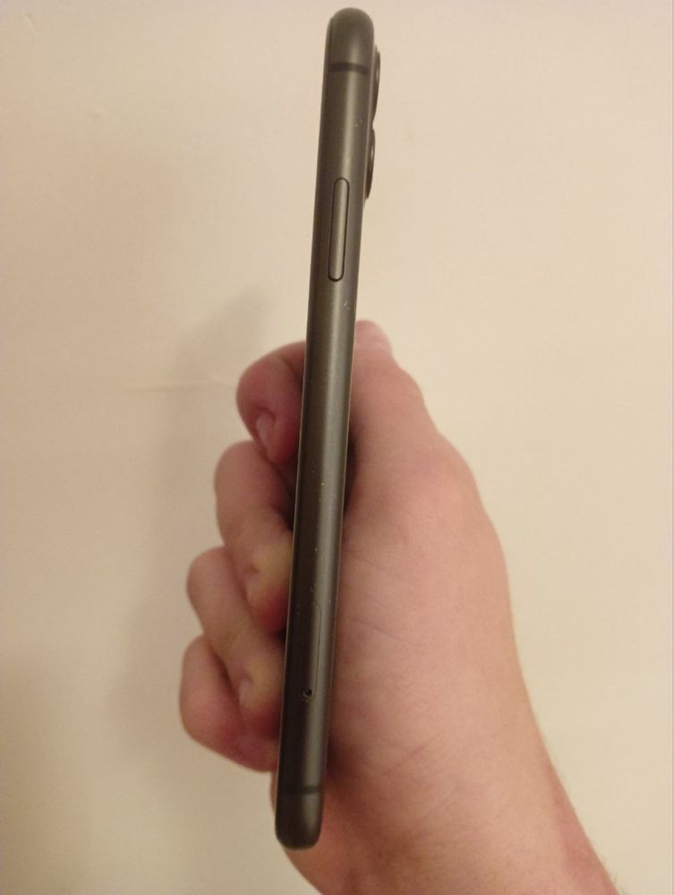 iPhone 11 256 GB 100% pojemności