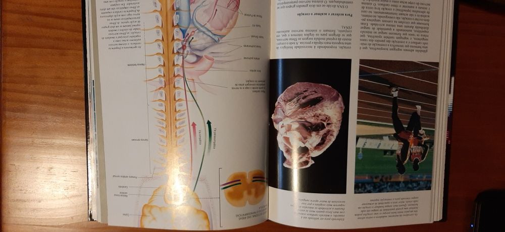 Enciclopédia O corpo humano