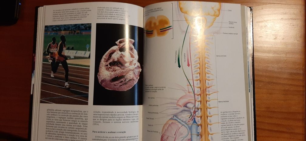 Enciclopédia O corpo humano