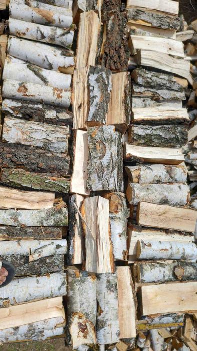 Дрова Берёза с документами — лучшая цена, доставка без предоплаты