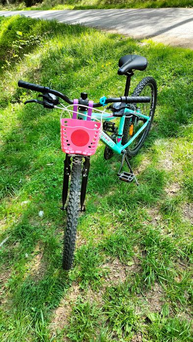 rower młodzieżowy skilled Lena