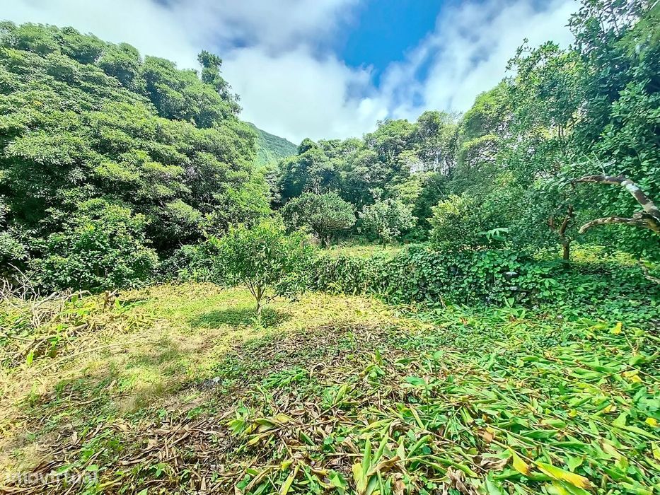 Quinta na Fajã Grande, Ilha das Flores.