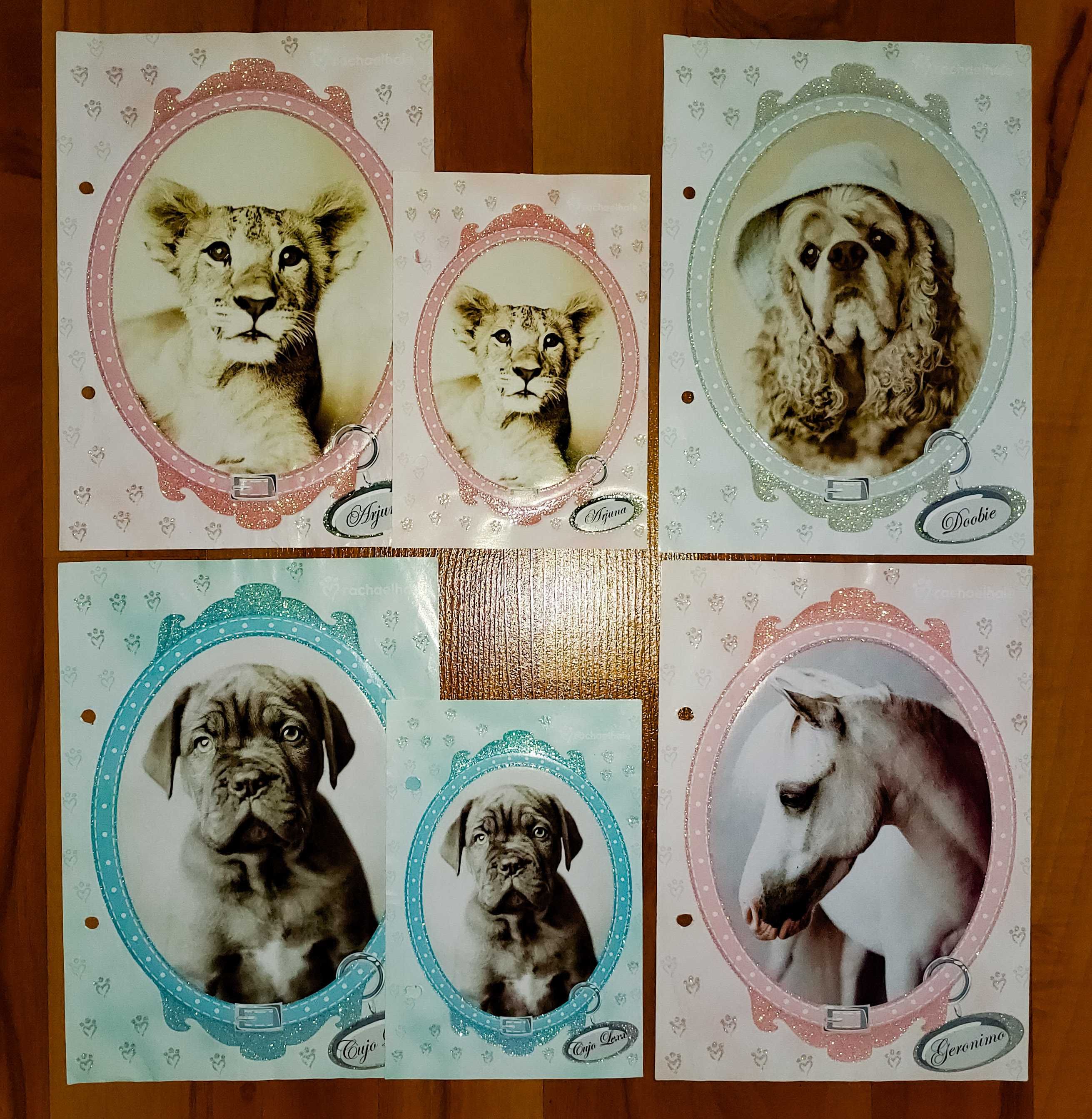 Karteczki Zwierzęta Brokatowe: Pieski, Kotki i inne - A5 i A6