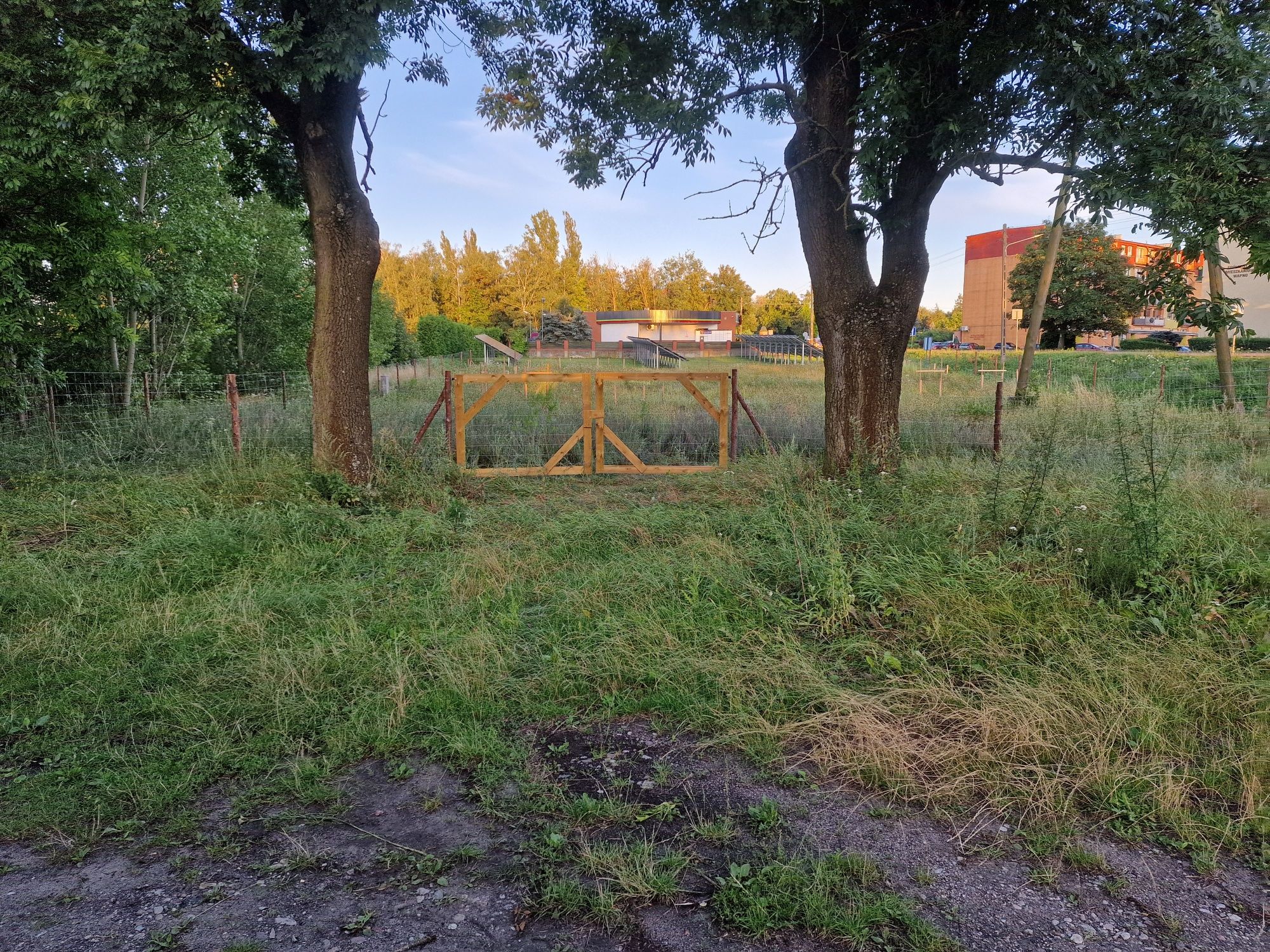 Ogrodzenie leśne budowlane tymczasowe siatka leśna budowlana GRATIS