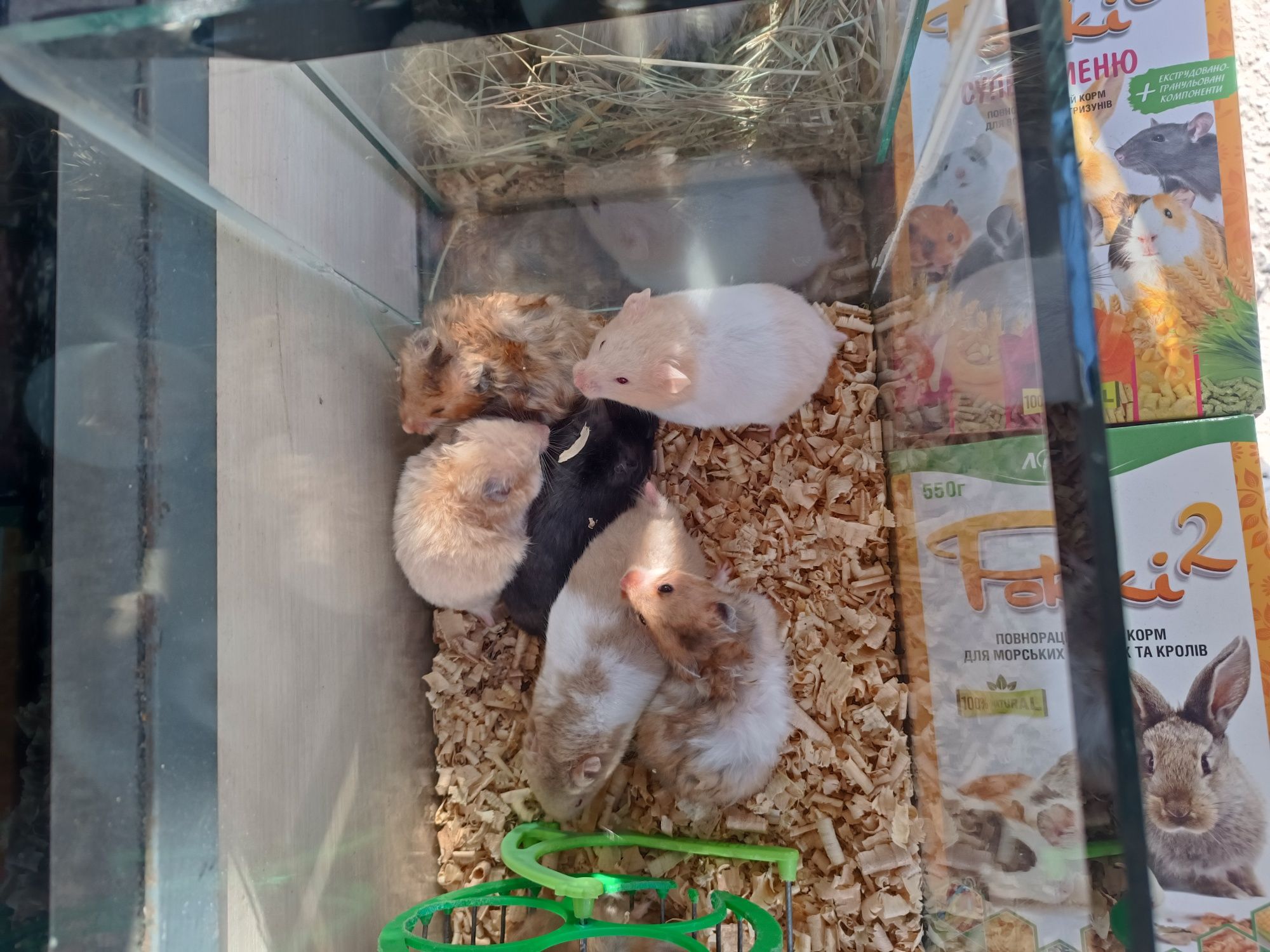 Клітка для хомяків