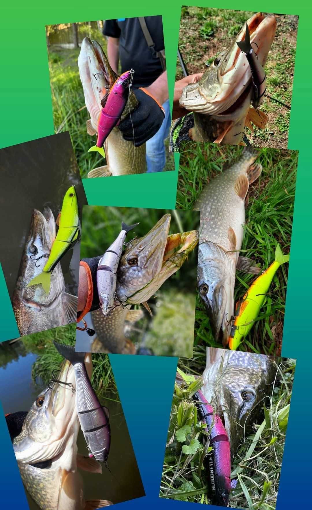 Книга Swimbaiting от А до Я: Manual