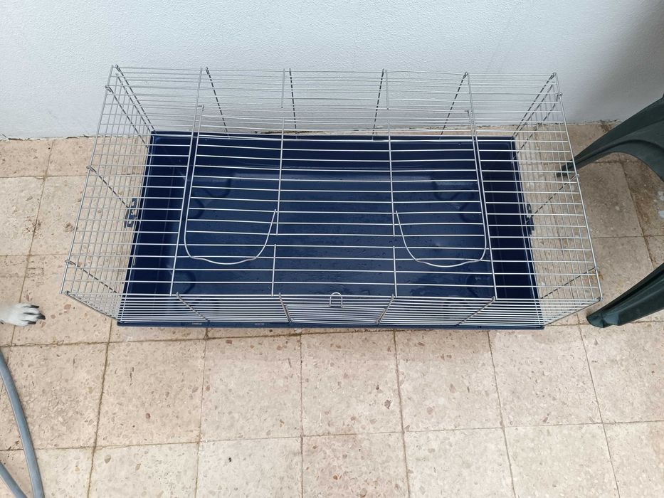 Gaiola coelho / porco da Índia grande