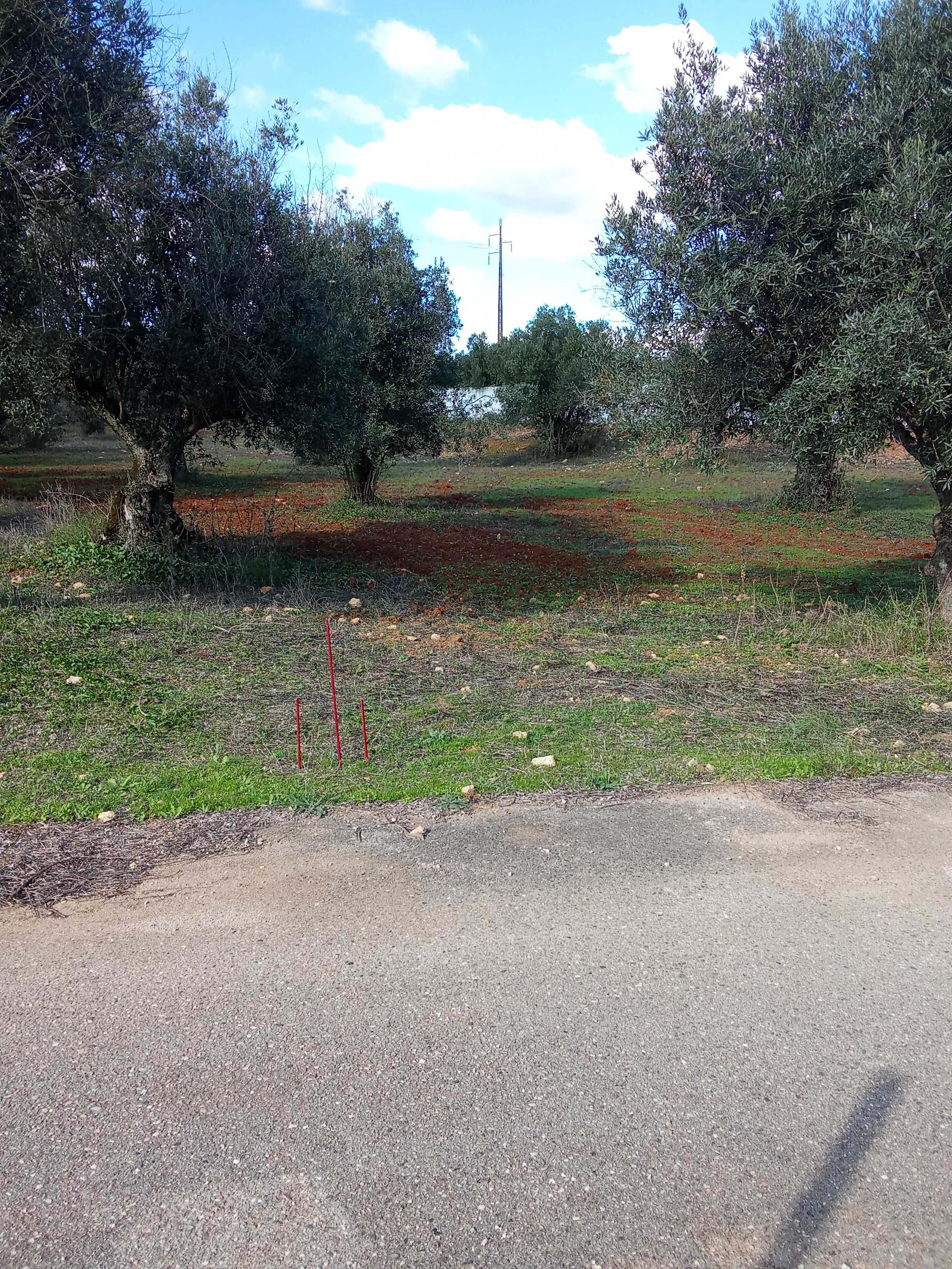 terreno para construçao em ALCANENA