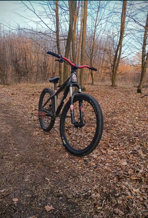 Kellys Whip 10 Custom Dirt (OPIS)