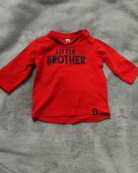 Bluzeczka Little Brother