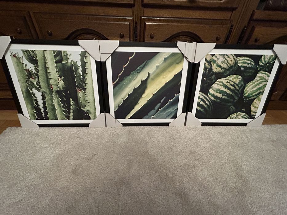 Zestaw 3 obrazów na ścianę