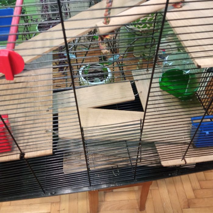 Клітка для папугая