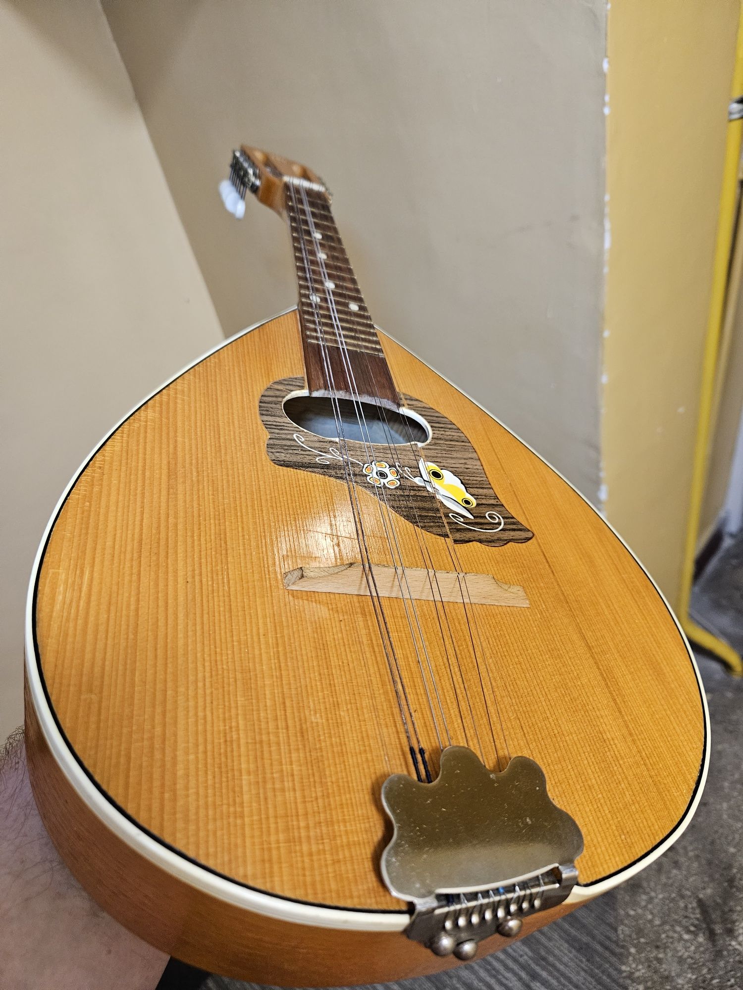 Gitara, Mandolina,Ukulele,Banjo