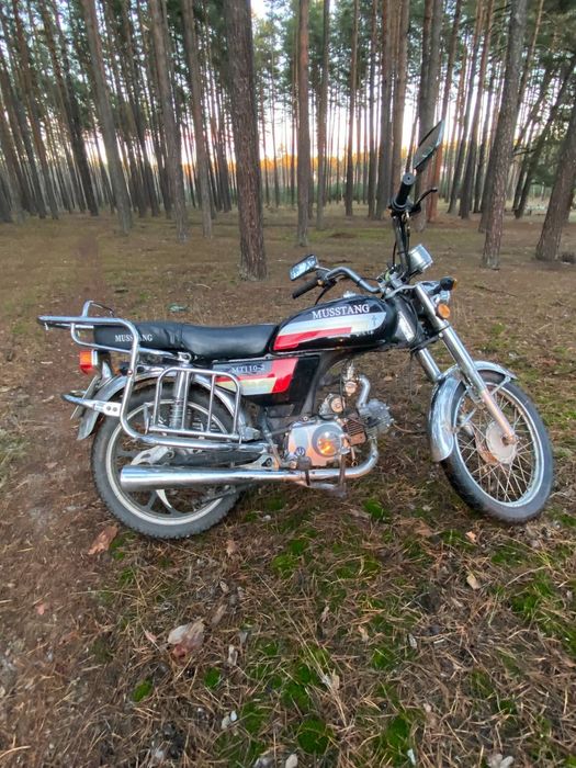 Мустанг мт 110-2 2013рік