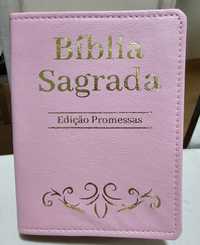 Bíblia Sagrada edição Promessas