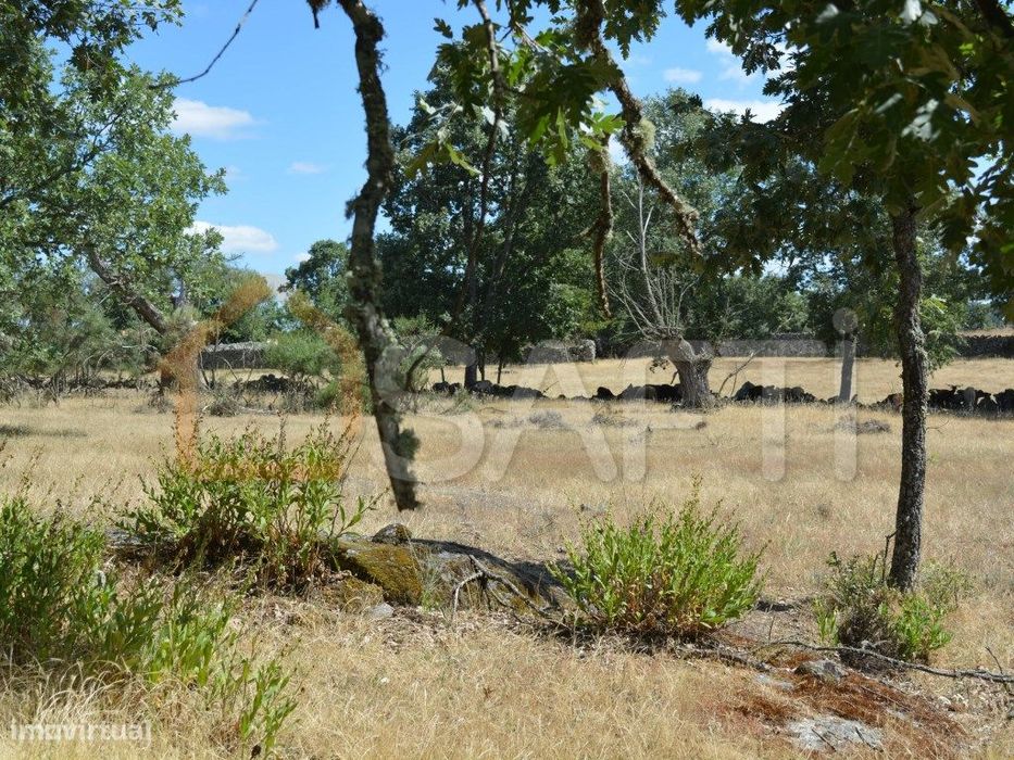 Terreno à venda em Casal Cinza - Guarda