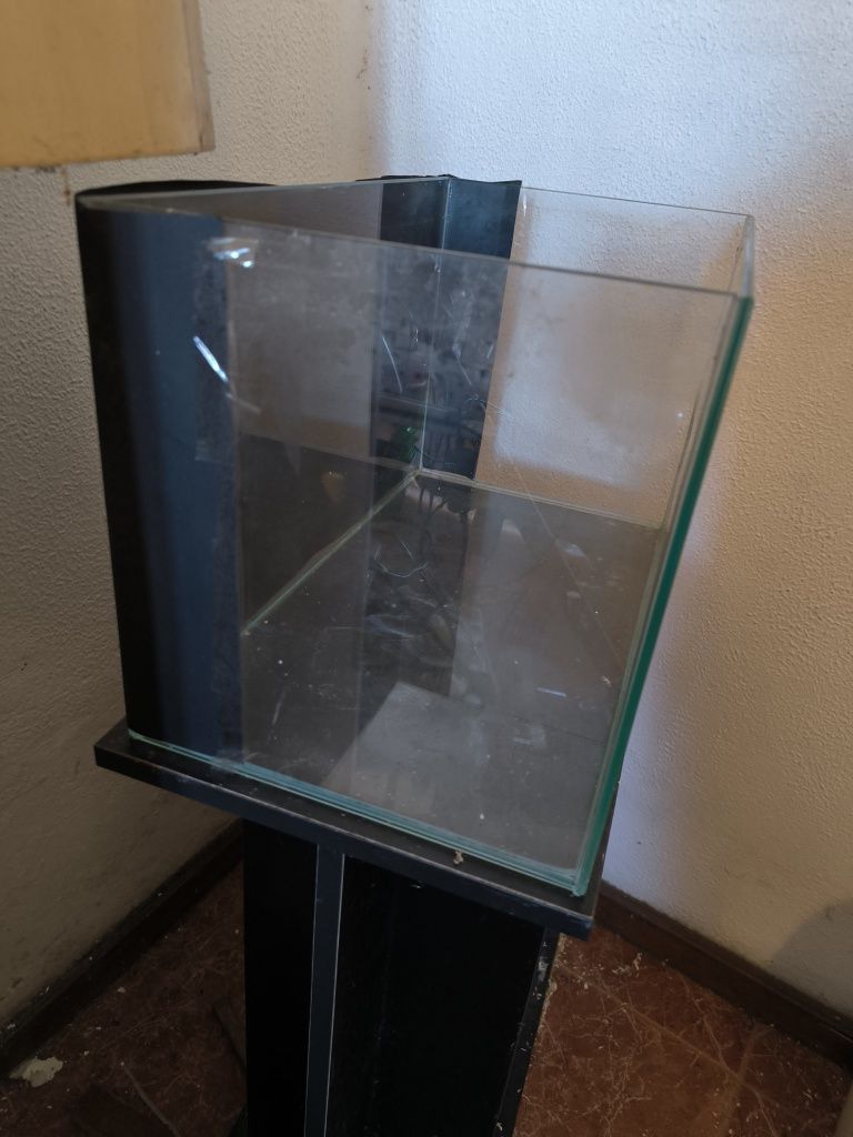 Aquário 50 cm mais movel