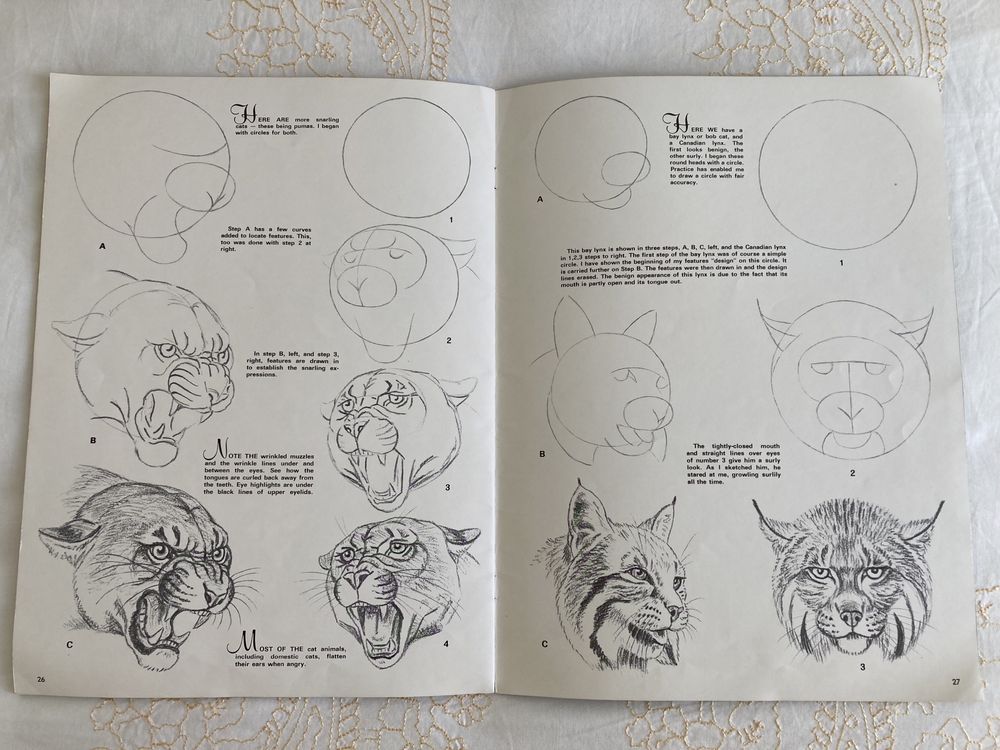 Revista “How to draw and paint animal expressions”, de W. Wilwerding