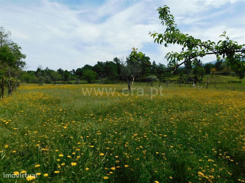 Terreno / Seia, Sameice e Santa Eulália