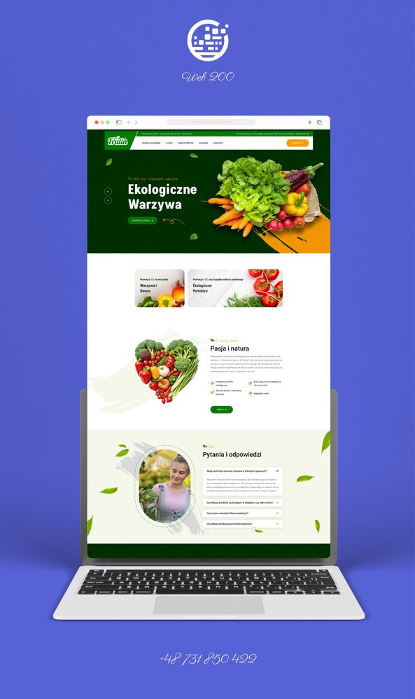 Strony WWW | Projektowanie stron internetowych | Sklepy internetowe