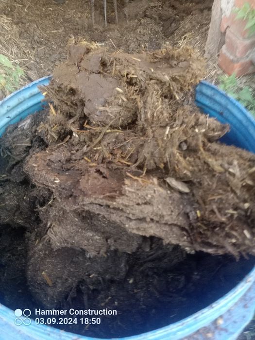 Obornik bydlęcy worek 55kg z dostawa
