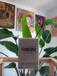 Yves Rocher Comme une Evidence 50 ml. męski perfum perfumy
