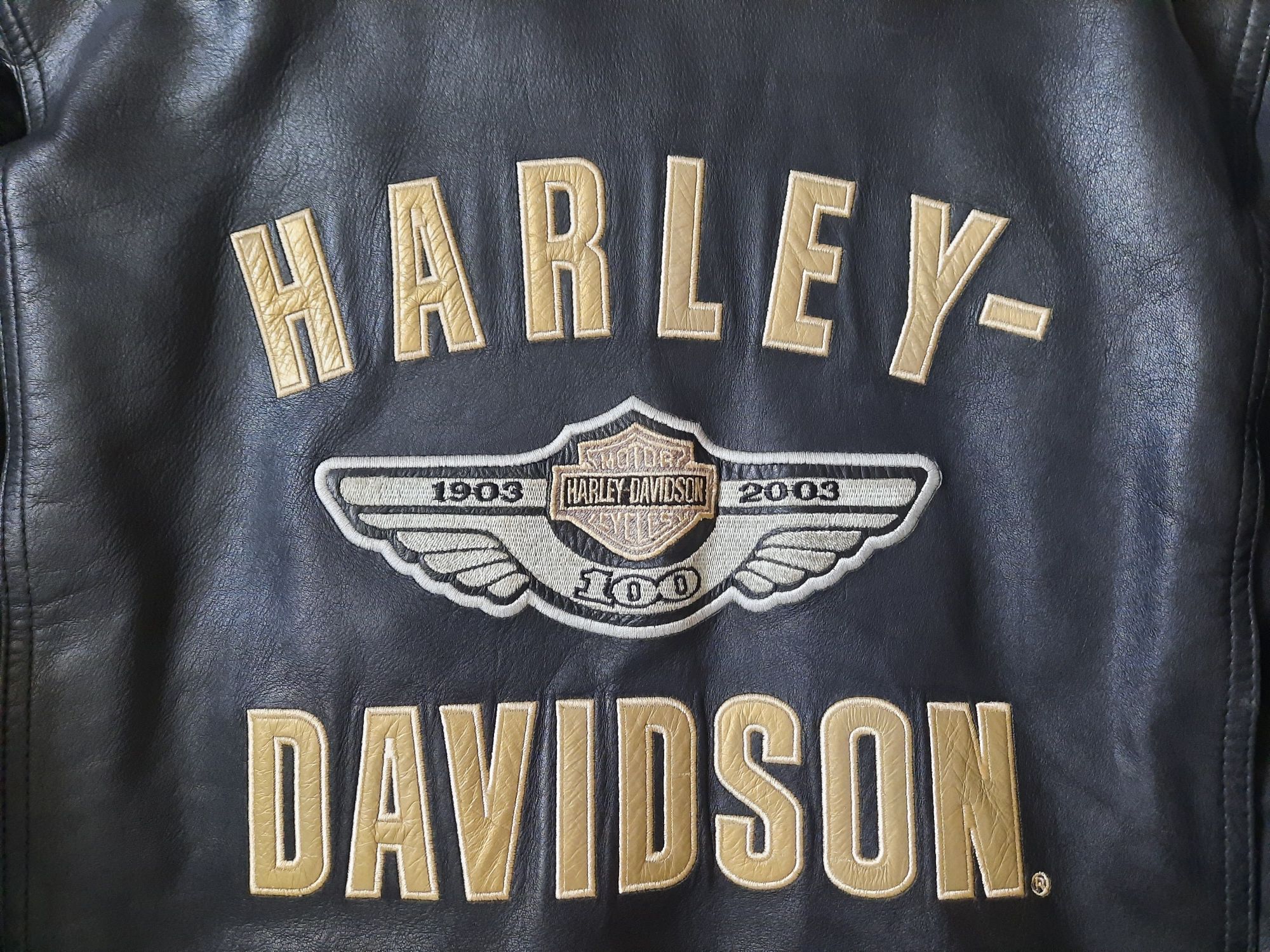 Kurtka Harley Davidson.