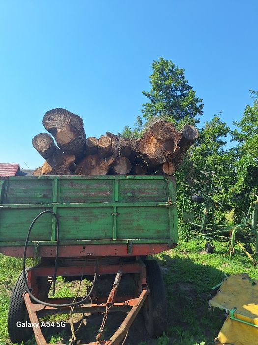 Drewno opałowe olcha