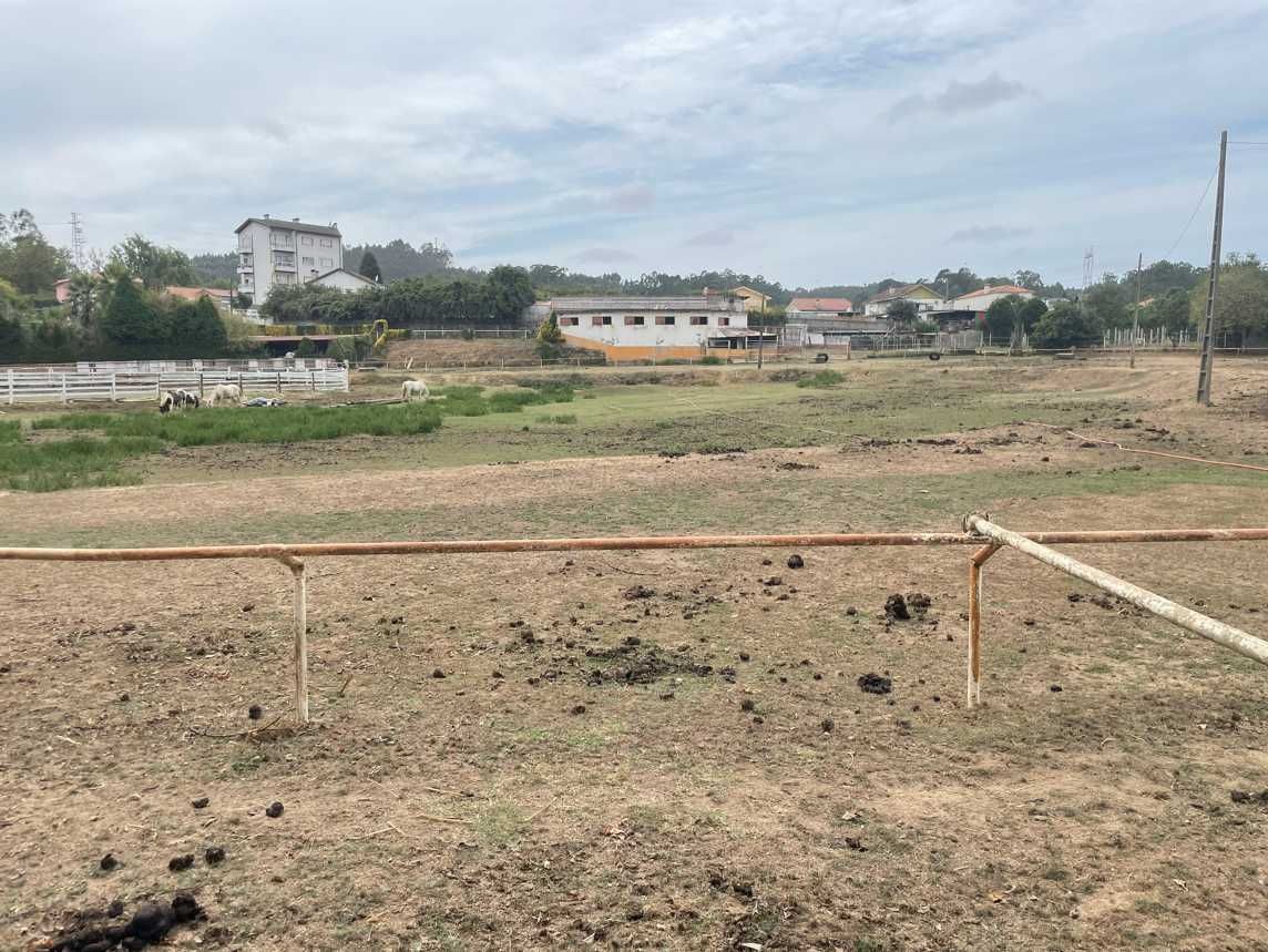 Terreno com boxes para cavalos
