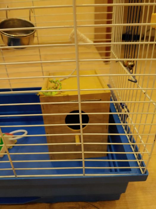 Продам клітку для папуги