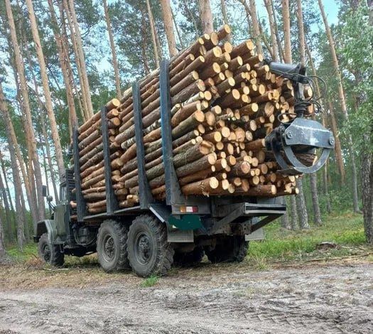 Дрова Оптом та в роздріб, дубові з лісу, напряму. 3-7-10-50 м3
