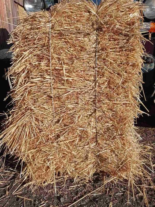 Продам солому пшеничну