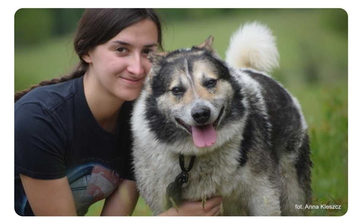 Atos z Radys szuka domu już tak długo...