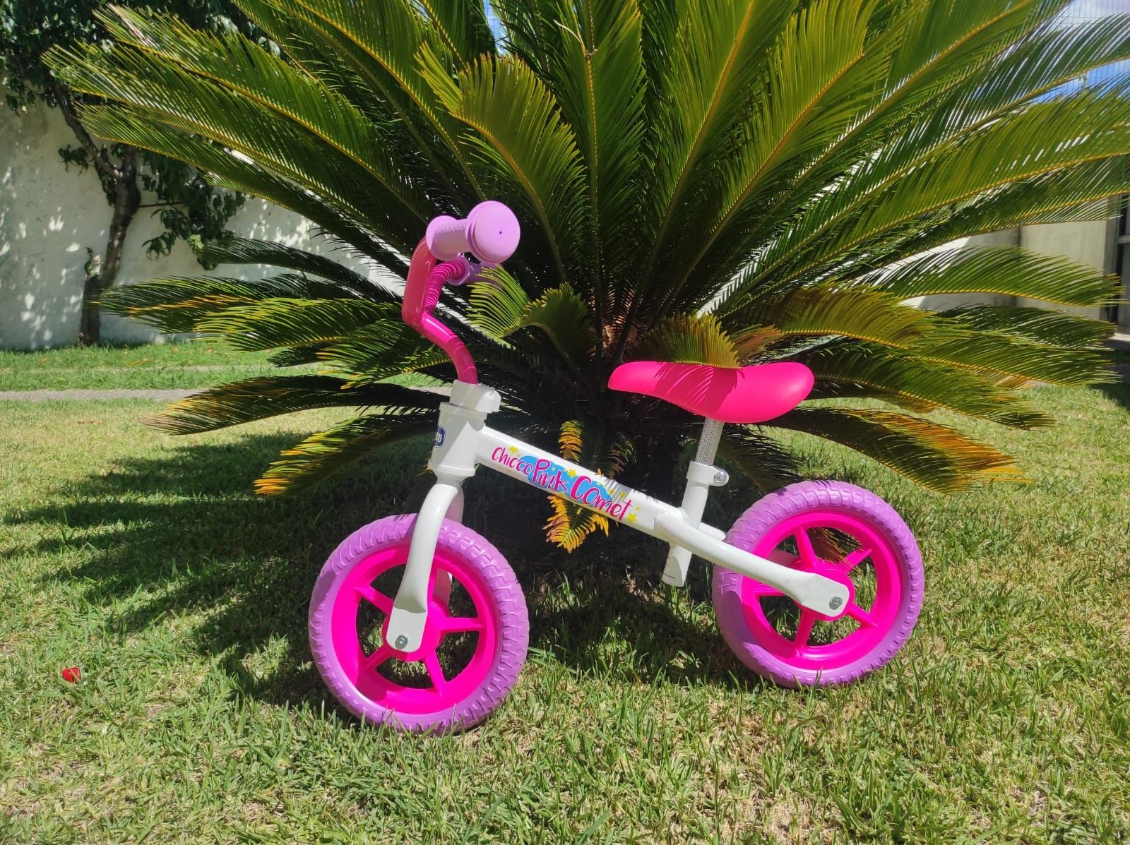 Bicicleta de Aprendizagem sem pedais Chicco