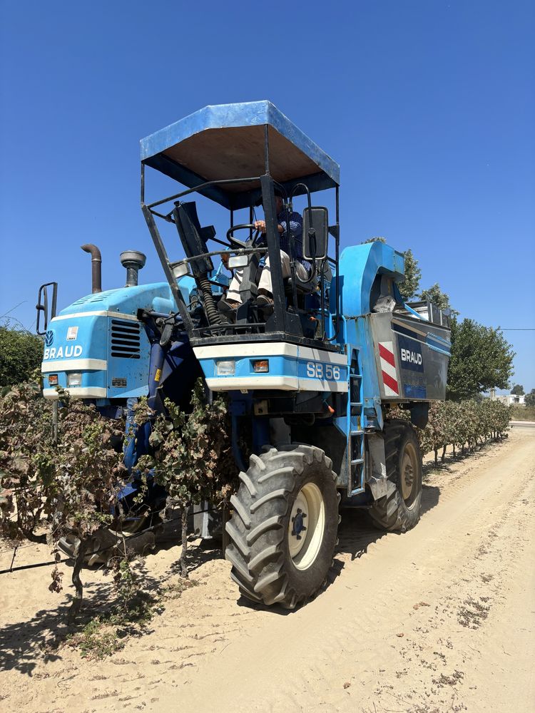 Máquina de Vindimar Braud SB56