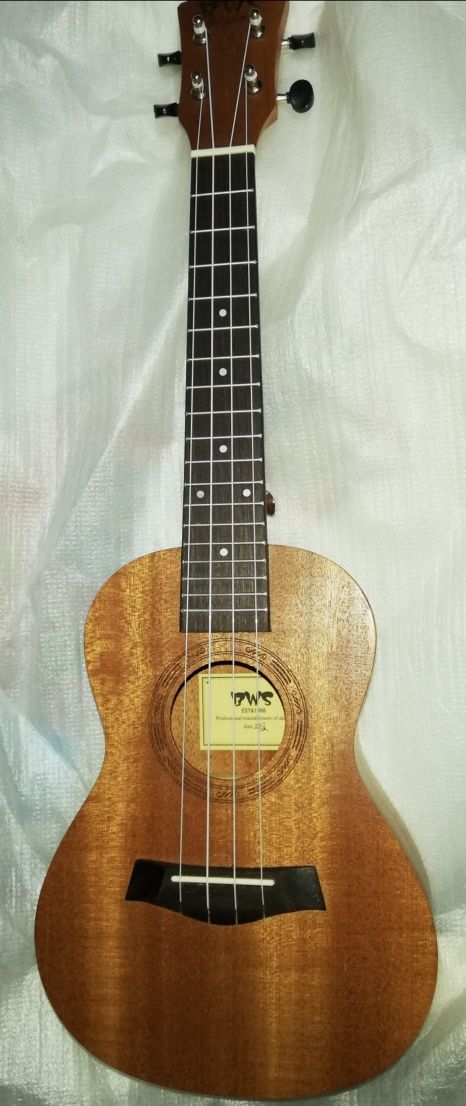 Ukulele concerto elétrico