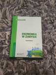 Ekonomia w zarysie podręcznik