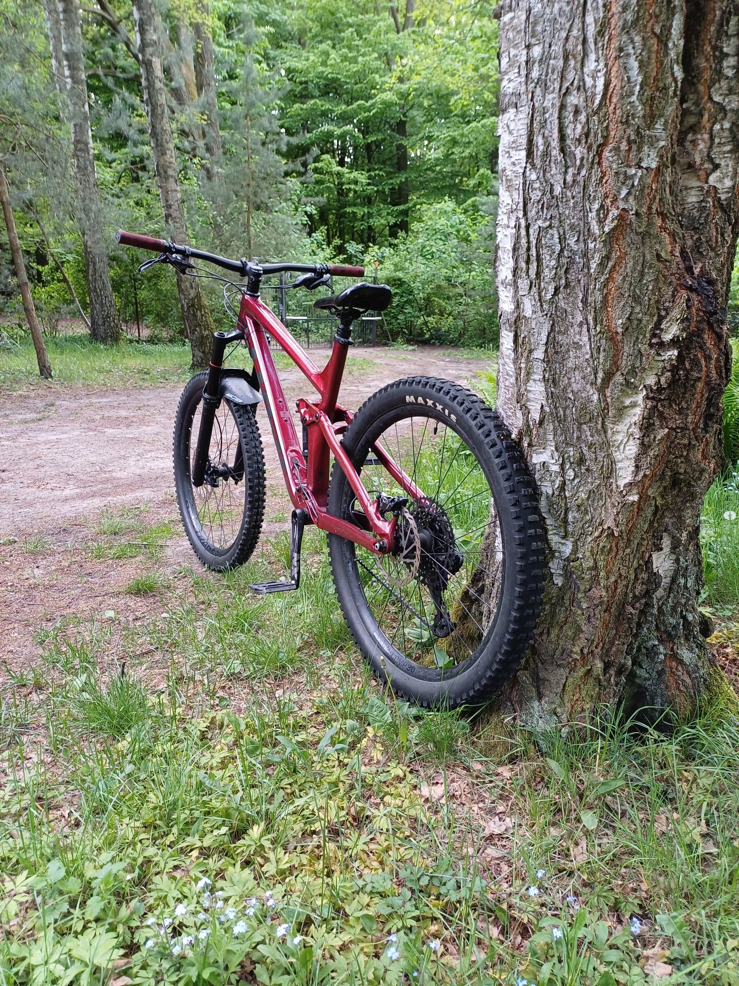 Trek remedy 7 L 27.5