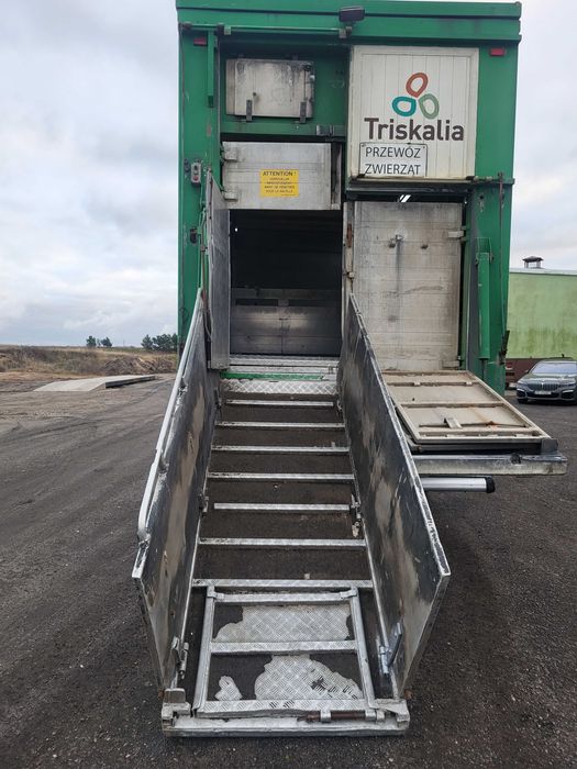 VOLVO FM do zwierząt żywca