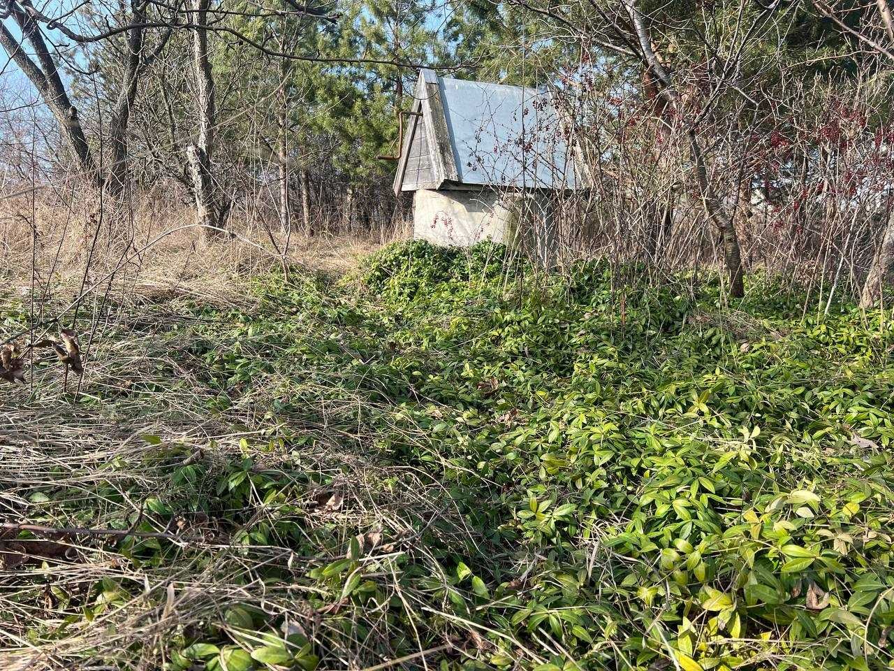 Продаж ділянки під забудову 15,6 соток у селі Буча Бучанського району