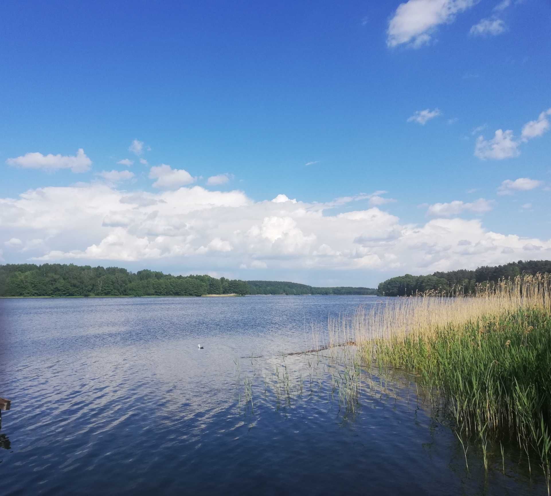 Domek letniskowy do wynajęcia nad jeziorem na mazurach Mazury, łódka.