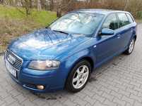Audi A3 Sportback 1.6 MPI 102 KM benzyna 5-drzwi Godne uwagi