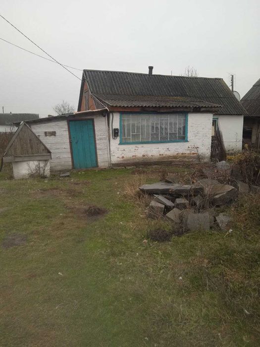 продається дім Нова Борова
