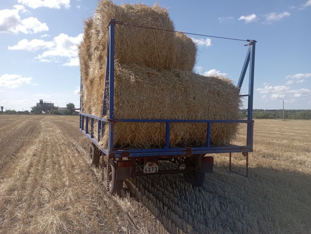 Прицеп 2птс4 сіновіз