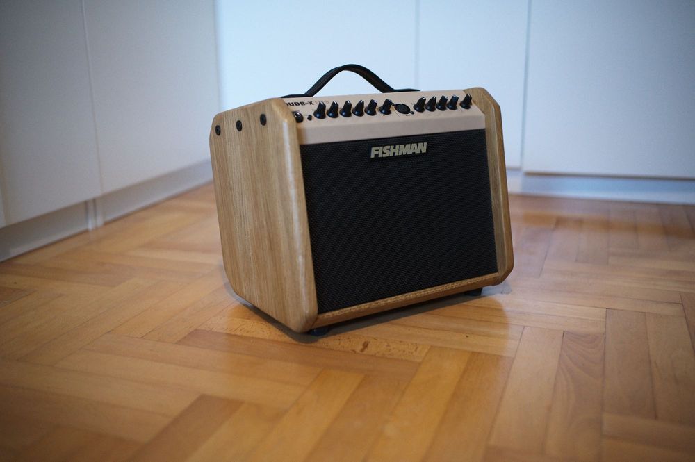 Fishman Loudbox mini