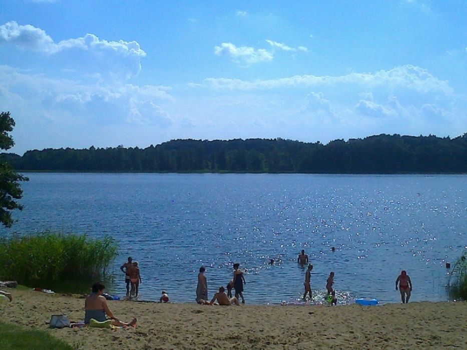 Domek z kominkiem na Mazurach ryby łowisko las