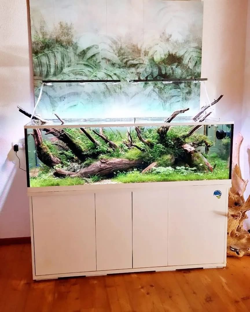Akwarium pod wymiar