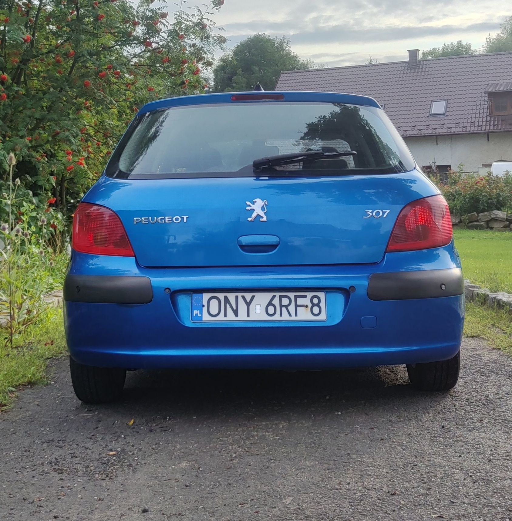 Lew z duszą Pegout 307 1.6 LPG klima - po remoncie silnika